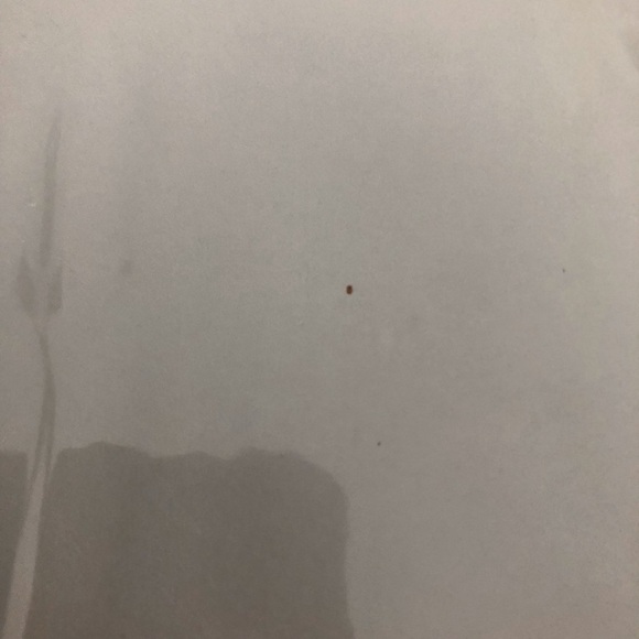 Vintage Monkey Print scrapbook 12x12 with 20 top loading pages - Picture 3 of 10